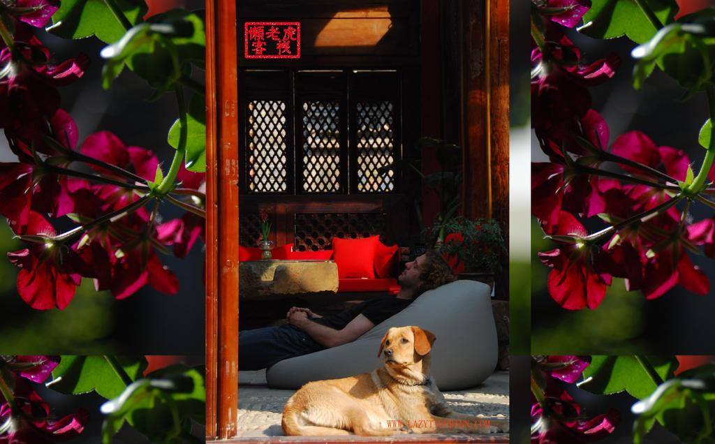 Lazy Tiger Inn Лиджанг Екстериор снимка